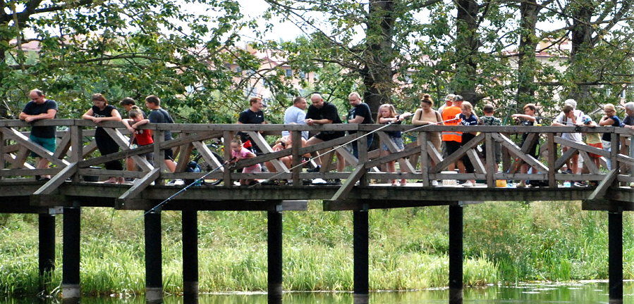 Grupa zawodników z wędkami stoi na pomoście. Wokół stare drzewa. Poniżej lustro wody.