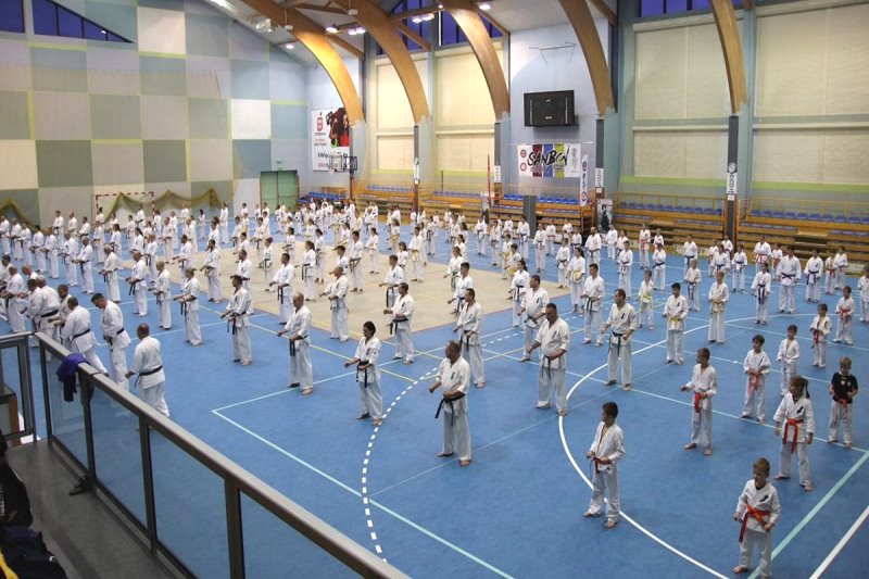 Karateccy podczas treningu