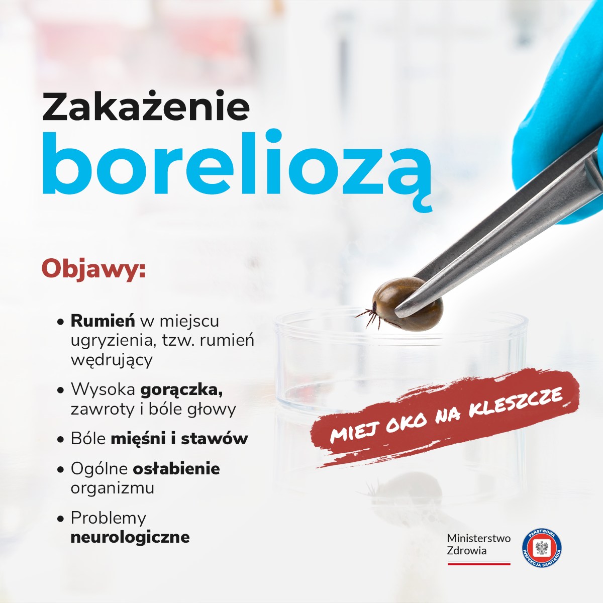 Po lewej napisy. Zakażenie boleriozą. Objawy: rumień w miejscu ugryzienia, tzw. rumień wędrujący; wysoka gorączka, zawroty i bóle głowy; bóle mięśni i stawów; ogólne osłabienie organizmu; problemy neurologiczne. Po prawej kleszcz w pęsecie nad szklanką. Po niej napis: miej oko na kleszcze. Pod nim 2 logotypy. Od lewej logo z napisem: Ministerstwo Zdrowia z barwami Polski. Po prawej logo z godłem Polski i napisem wokoło: Państwowa Inspekcja Sanitarna.