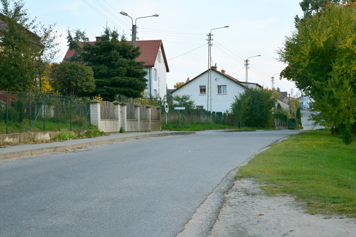 Ulica. Po jednej jej stronie budynki, ogrodzenia, drzewa, krzewy, słupy z liniami, chodnik i znaki drogowe. Po drugiej stronie drzewa i rośliny.